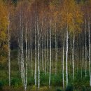 모월모일 이미지