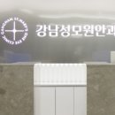 강남성모 이미지