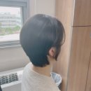더퍼스트헤어 고려대점