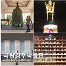 중앙포차 앞 (옥외1) | 경주여행가볼만한곳 국립 경주박물관 시간 예약 실내 주차
