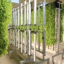 농업회사법인 ㈜그린 이미지