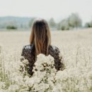 한국 행정사사무소 이미지