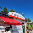 신관플라워