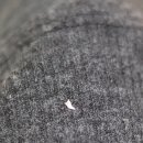 정성환동물병원 이미지