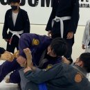 달서본리복싱 이미지