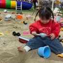보령팜플러스 | [충남 보령] 겨울 실내 딸기체험, 보령팜플러스