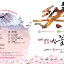 08년 강릉 경포대 벚꽃 축제 이미지