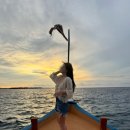 🏝️ 몰디브 신혼여행 ep.3 : 몰디브 스노클링 | 쏘몰디브 중동요리식당 하다바(Hadaba) | 쏘몰디브 돌핀...