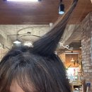영환 | [사직동미용실] 신길이네미장원 사직점 - 염색 후기 (with 영환디자이너)