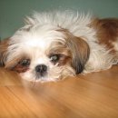 등촌2동 이미지