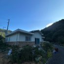 주택 담장 앞 이미지