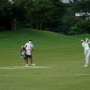 그린위브 이미지