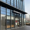 토마토금천 | 스타벅스 밀크카라멜 라떼, 바질치킨 토마토 브리또 후기 가격 영양정보 칼로리 금천독산점
