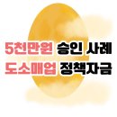 도소매업 | 5천만원 승인 사례, 도소매업 정책자금