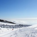 한라산국립공원관음사지구야영장 이미지