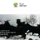 삼부자목장 이미지