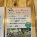 퍼피포레스트 | [군포 애견카페] 퍼피포레스트 소형견, 중형견, 대형견 가능 야외운동장