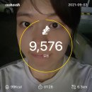 금터식당 | [9월 첫째주 일상] 2021.09.01-09.07 | 정말 원하는