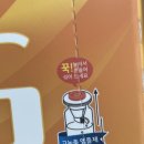 영천온누리약국 | 체크인챌린지6_피로회복복 고농축 앰플 글루홈 리얼 후기