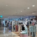 올세인츠AK - 8348 | 올세인츠AK