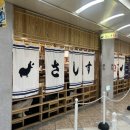 7월 기획연주회 여행을 떠나요 | 일본 Day 1 - 오사카 [2024.7.11.]