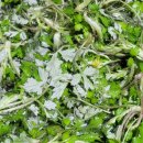 시골한우마트 | 주말 부부모임~시골에서 삼겹살 구웠더니 연기까지 감성이었다