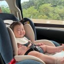 윤서네펜션 | 가평 신축 펜션추천 레릿고 101호 후기(아기랑 첫 여행 펜션)