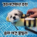 솜마-가 이미지