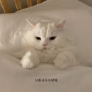 박정진 이미지