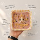 메이드알콩