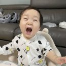 단타는 독이다 단타치지말라 단타쳐서 낮은 평단가 날라간 주식이 몇개냐