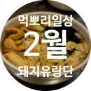 쉼표 | 레시피 벌교 빵집 모리네빵가게 컬리 추천템 돼지런한 일상으로의 초대 여수 한신우동 CU 두쫀쿠 영주한우