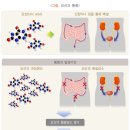 미소들노인전문병원 이미지