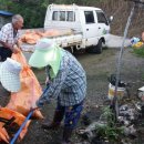 백산면사무소 이미지