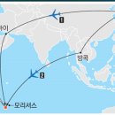 원시림 이미지