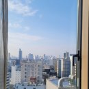 0308-0310 도쿄 2박 3일 둘째날