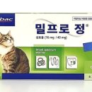 태광온누리약국 이미지