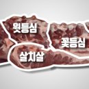 소화지