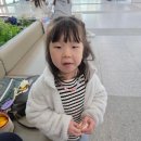 세종의 아침 태권도(집현관) | 10월 마지막주 육아일상 (하준 어린이집 상담,장염걸린 엄마, 스벅 세종 예술의전당점)