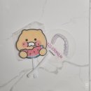 2025 시덱스에서 받은 것들과 후기