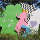 물새롬랜드오토캠핑장 이미지