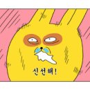 현이 - 성남시 분당구 | 현이