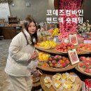 코데즈컴바인갤러리아 | [코데즈컴바인] 밴드넥 푸퍼 퍼 다운점퍼 (CHD-DW501WA)