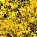 만연농장 이미지