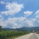 수원산뷔페 이미지