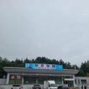 대전현충원 보훈매점 꽃 구매 가능 조화 판매 / 안장자 찾기