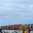 해인짬뽕 이미지