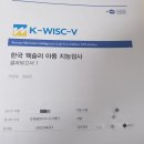 토론하는아이들수지만현점국어교습소 | 맞벌이부부의 초등학생 사교육비 공유 (4인가족) + 웩슬러검사 5판 컨설팅후기