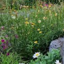 이룸민박 이미지