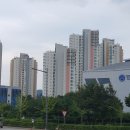 재일체육관 이미지